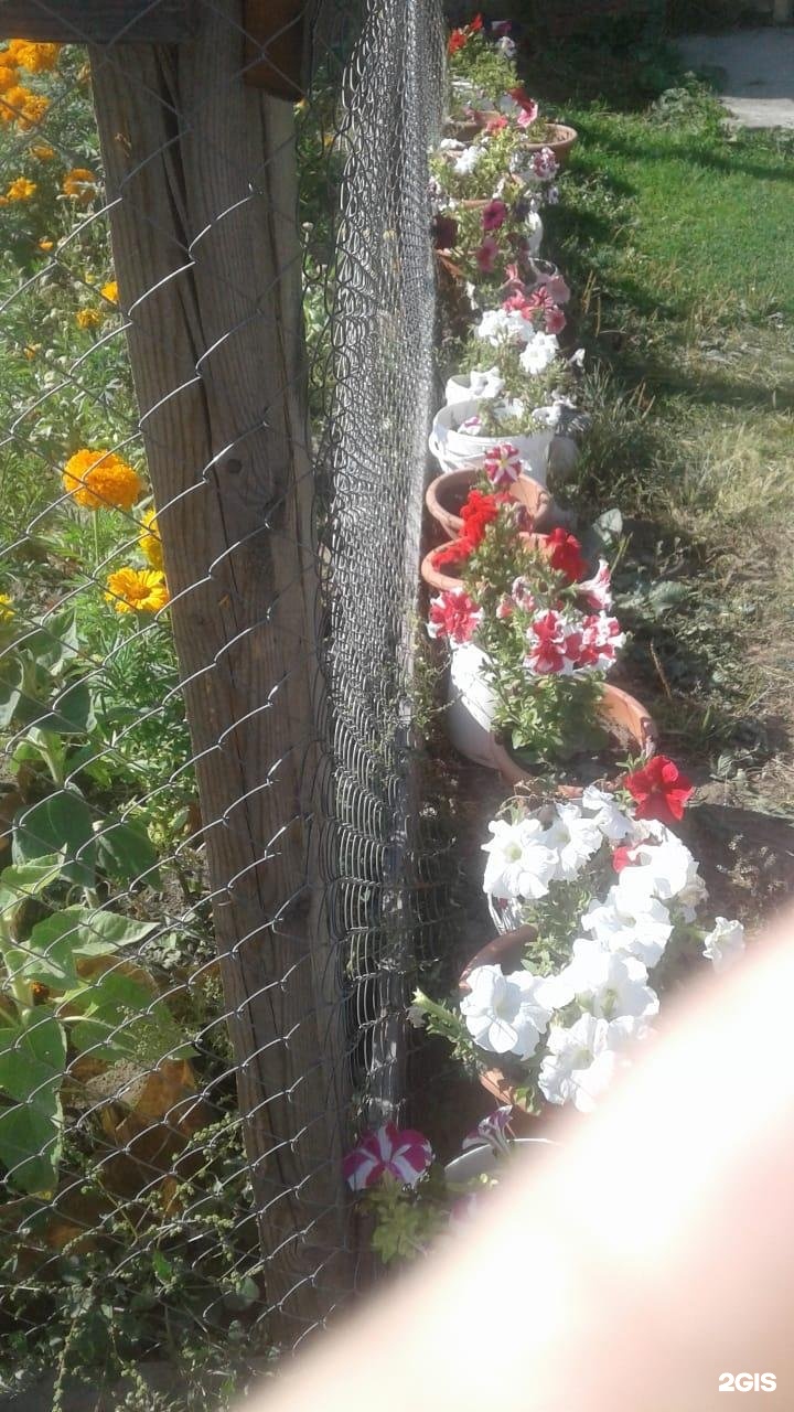 Эзен - фото 19