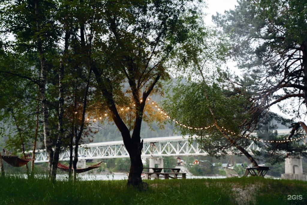 Камышла Парк - фото 7