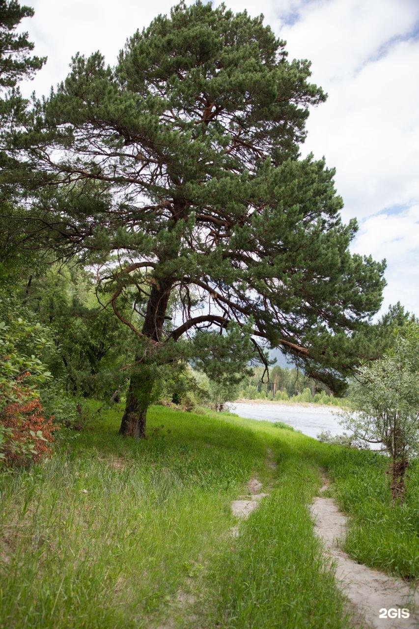 Камышла Парк - фото 25