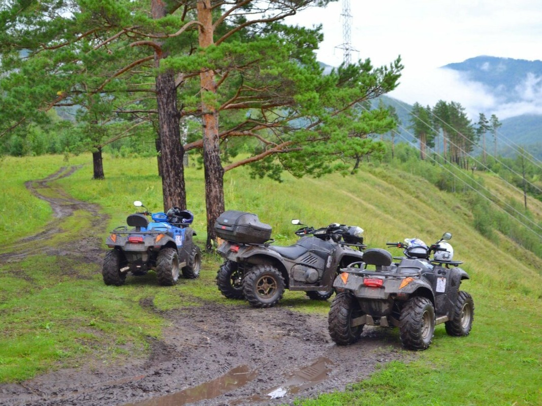 ООО "АЛТАЙ ВИЛАДЖ" - фото 2