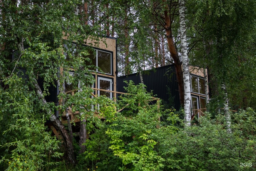 Дом на берегу Катуни - фото 1