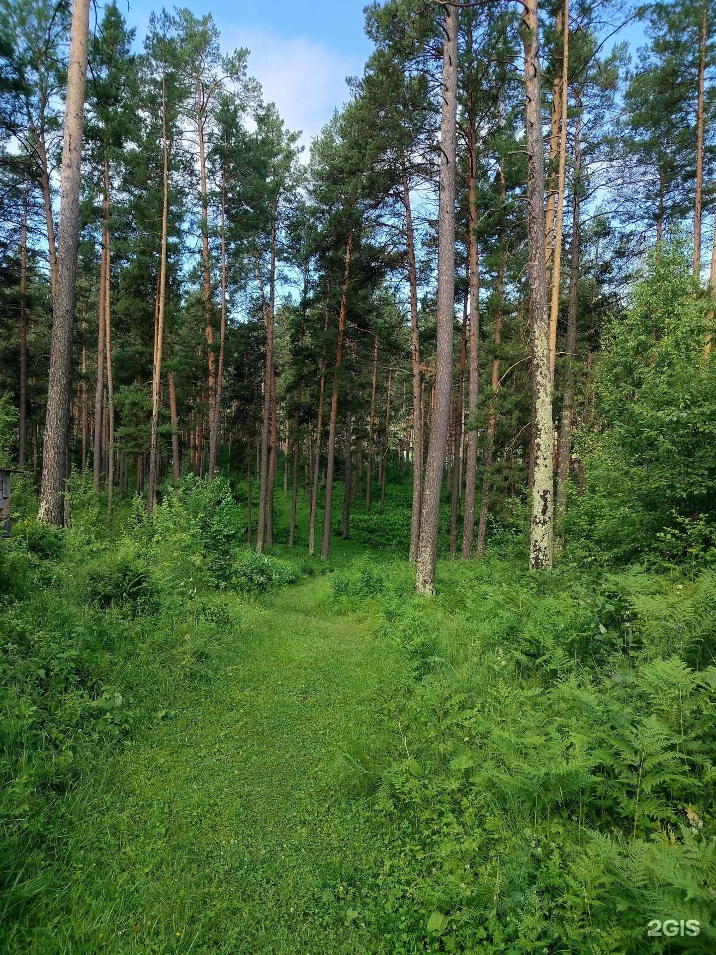 Панорама Алтай - фото 18