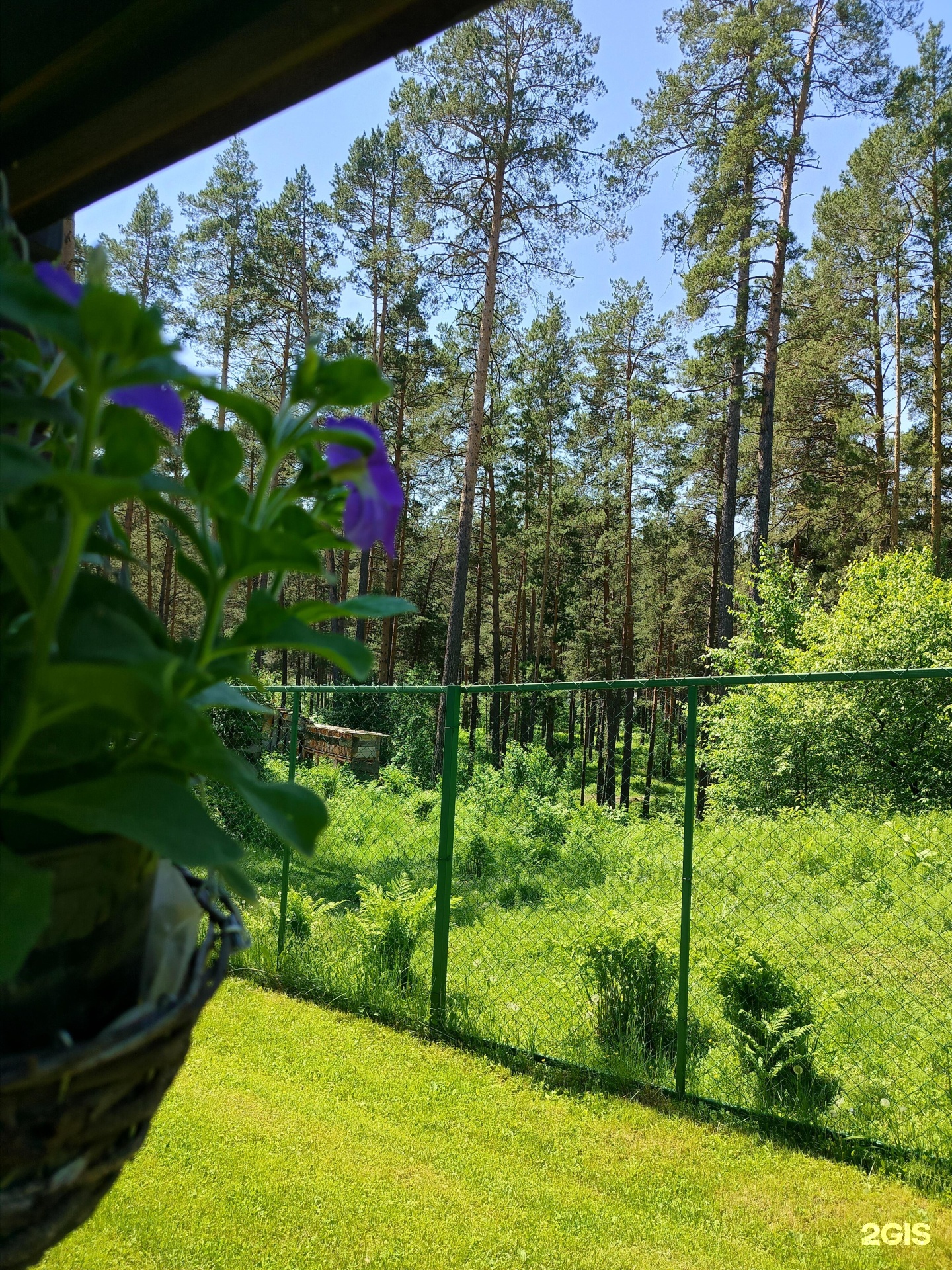 Панорама Алтай - фото 24