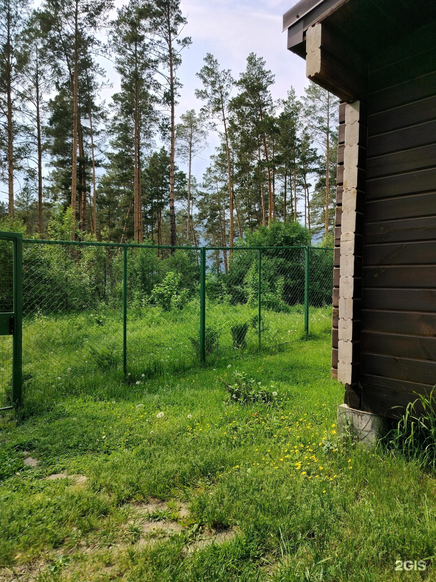 Панорама Алтай - фото 45