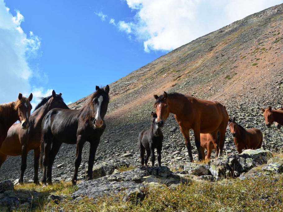 ООО "ВЫСОТНИК" - фото 8