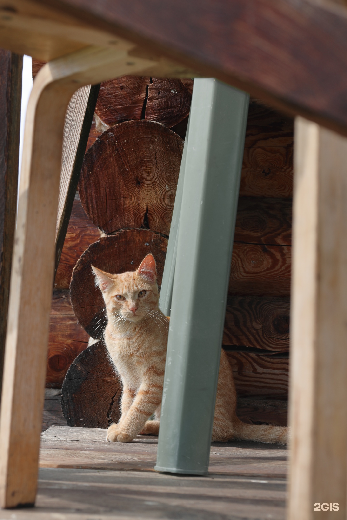 Асонов ключ - фото 59