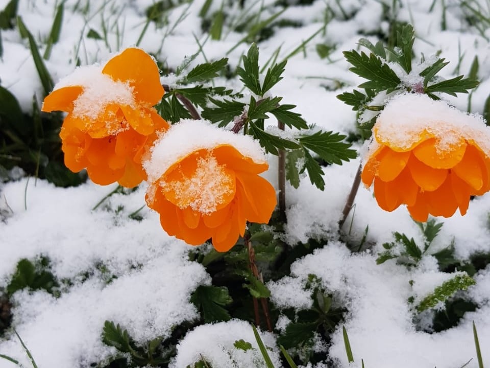 ООО "ЛЕО" - фото 2