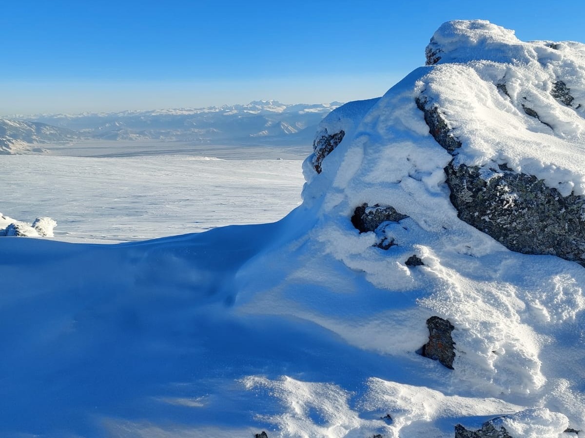 ООО "ЛЕО" - фото 3