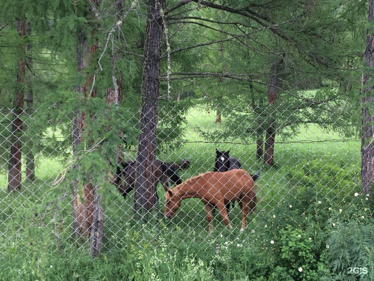 Асонов ключ - фото 106
