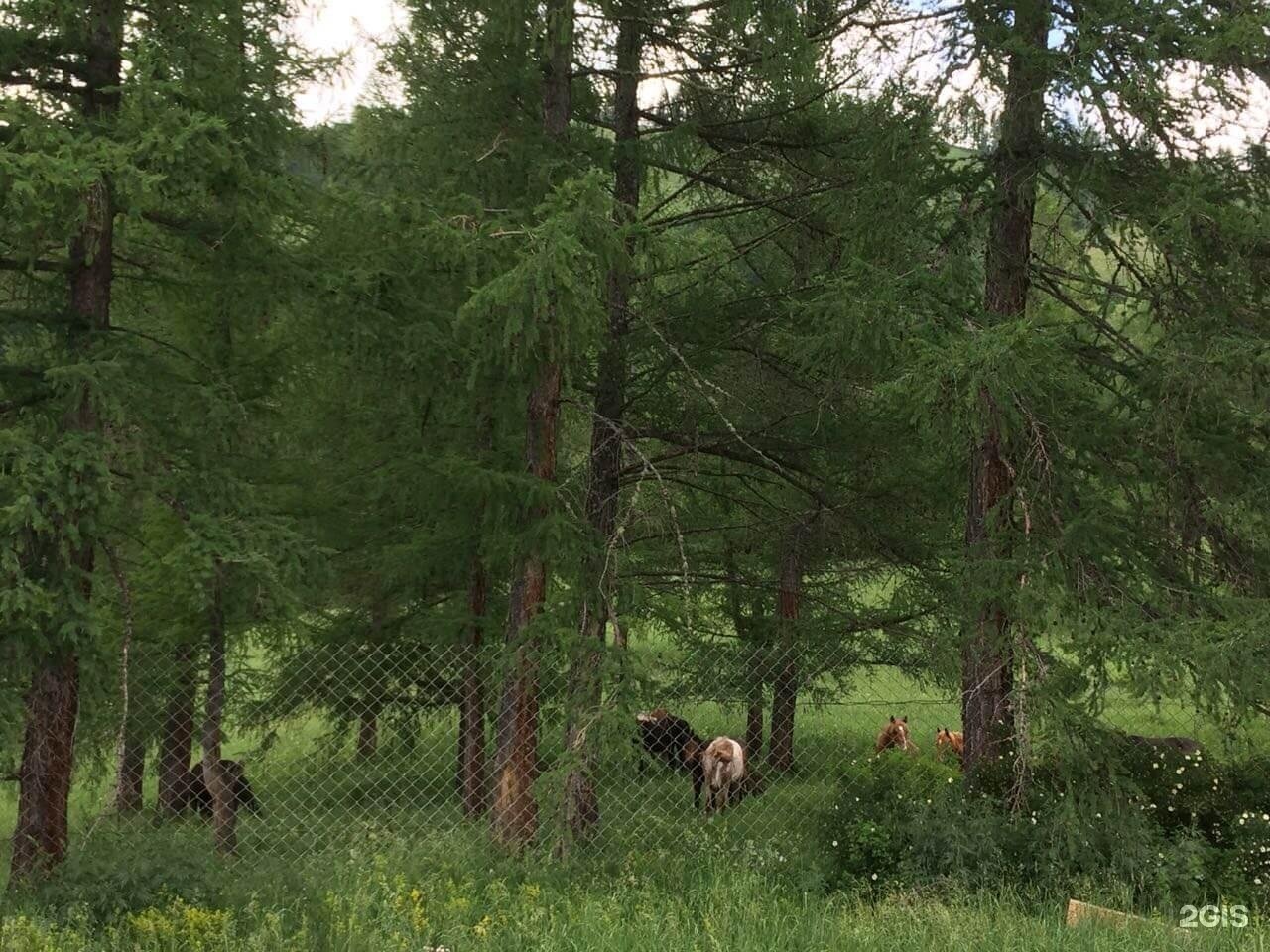 Асонов ключ - фото 107