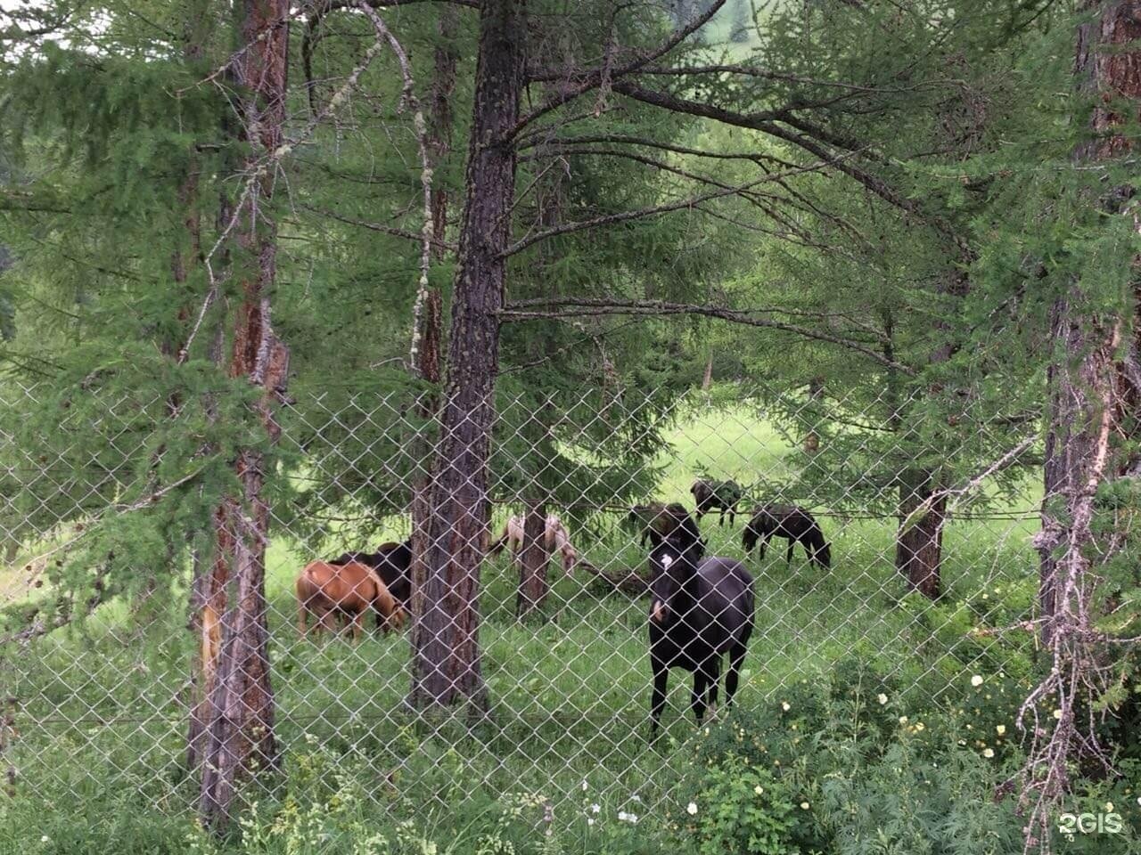 Асонов ключ - фото 109