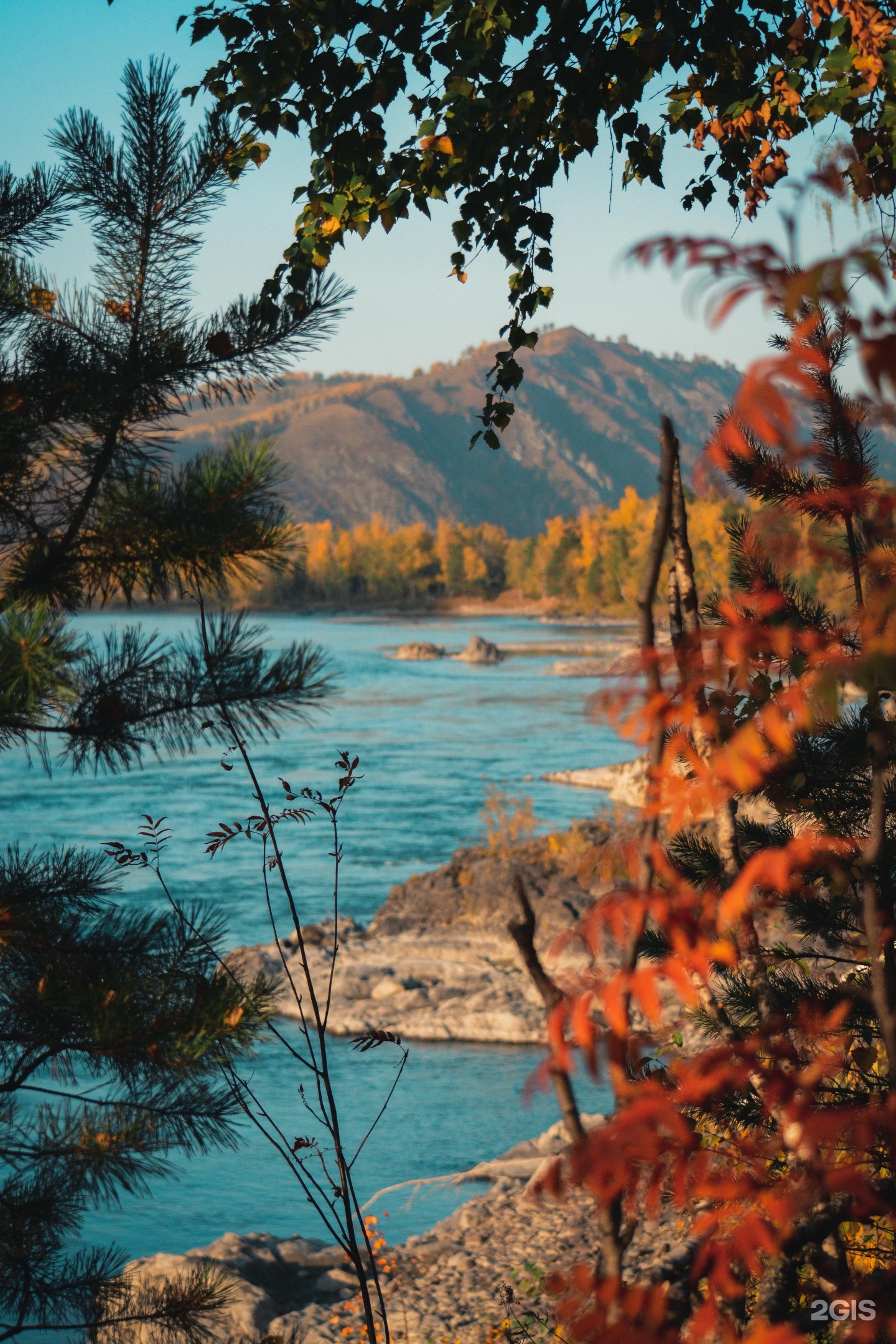 Golden Time - фото 7