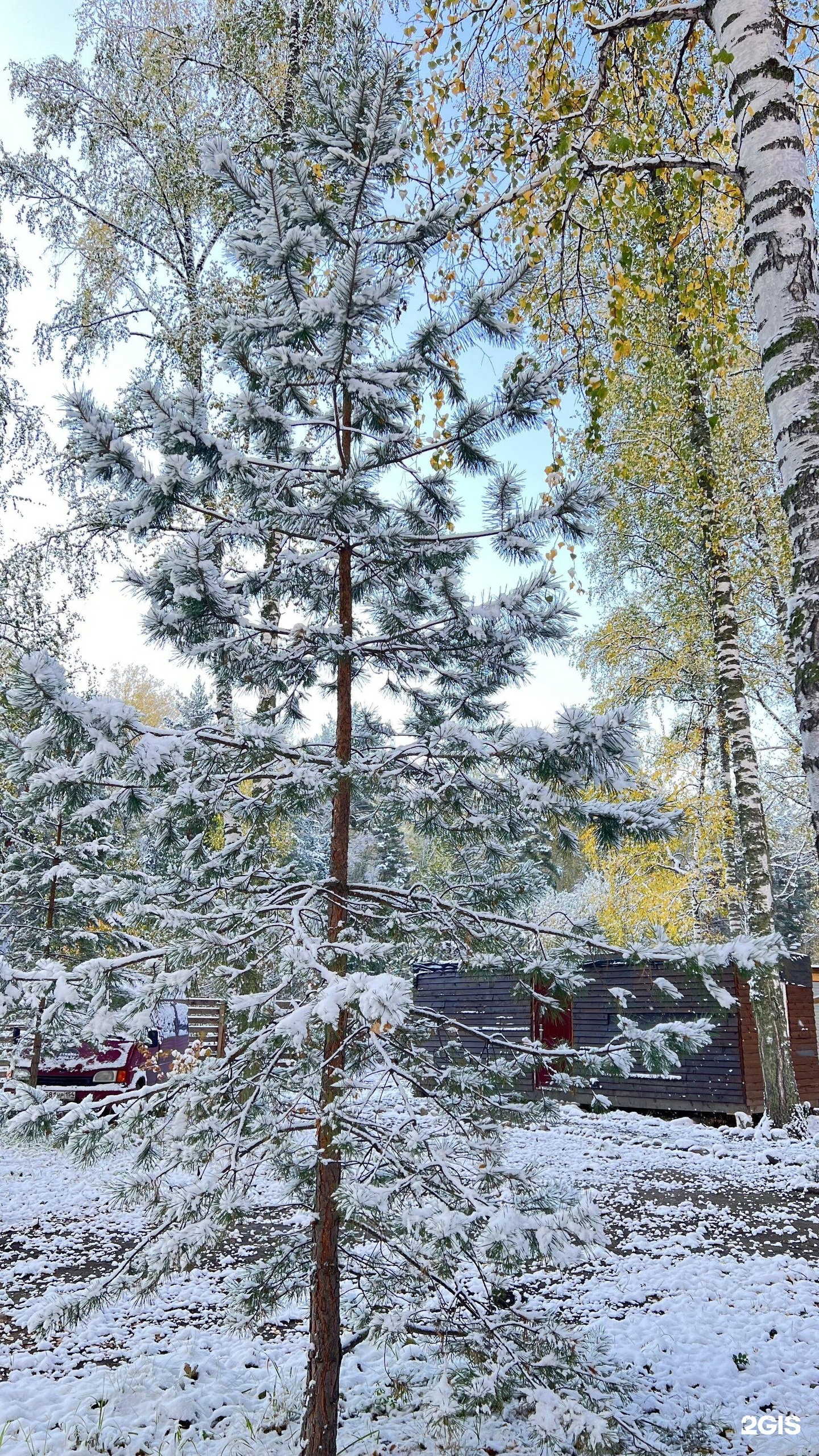 Golden Time - фото 17