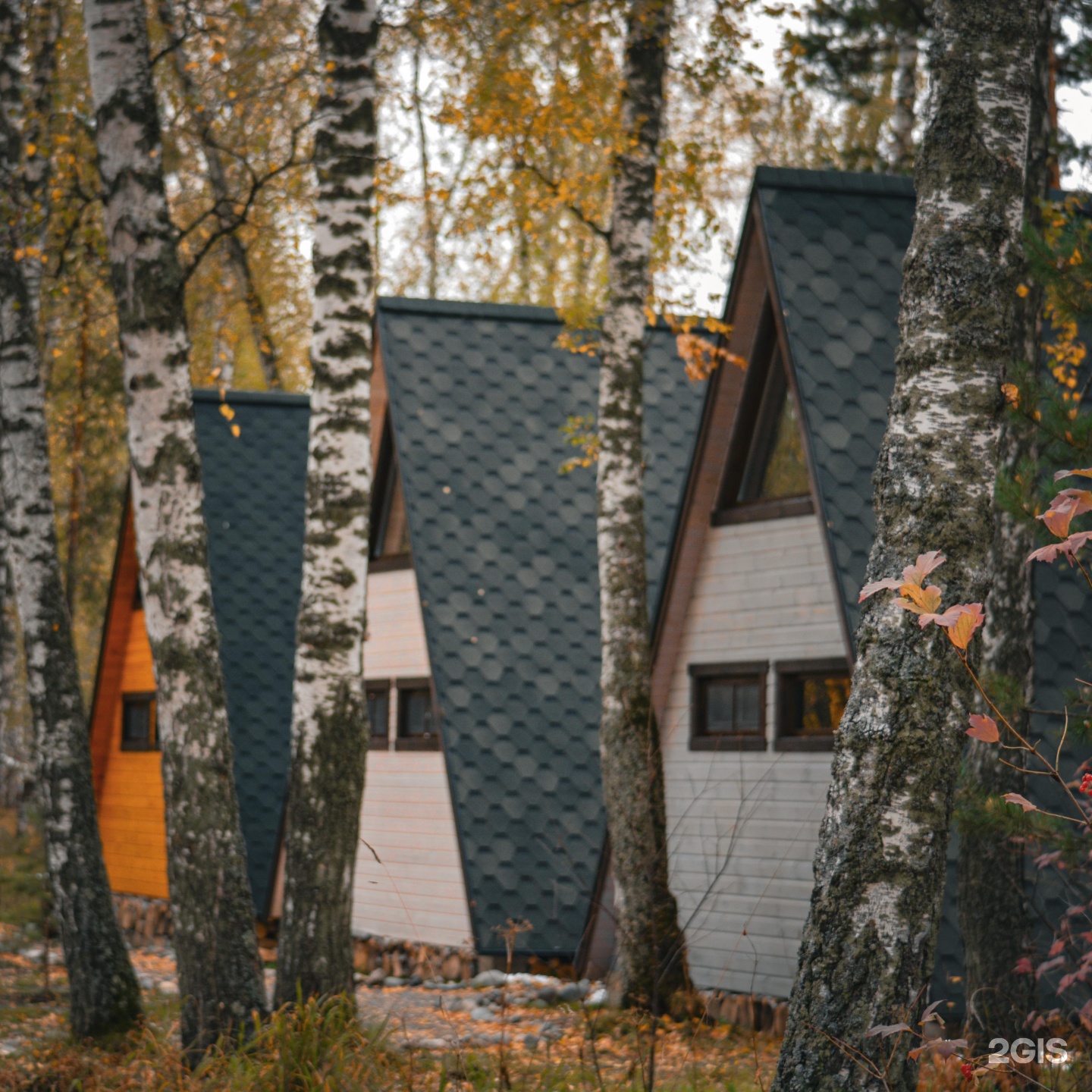 Golden Time - фото 20