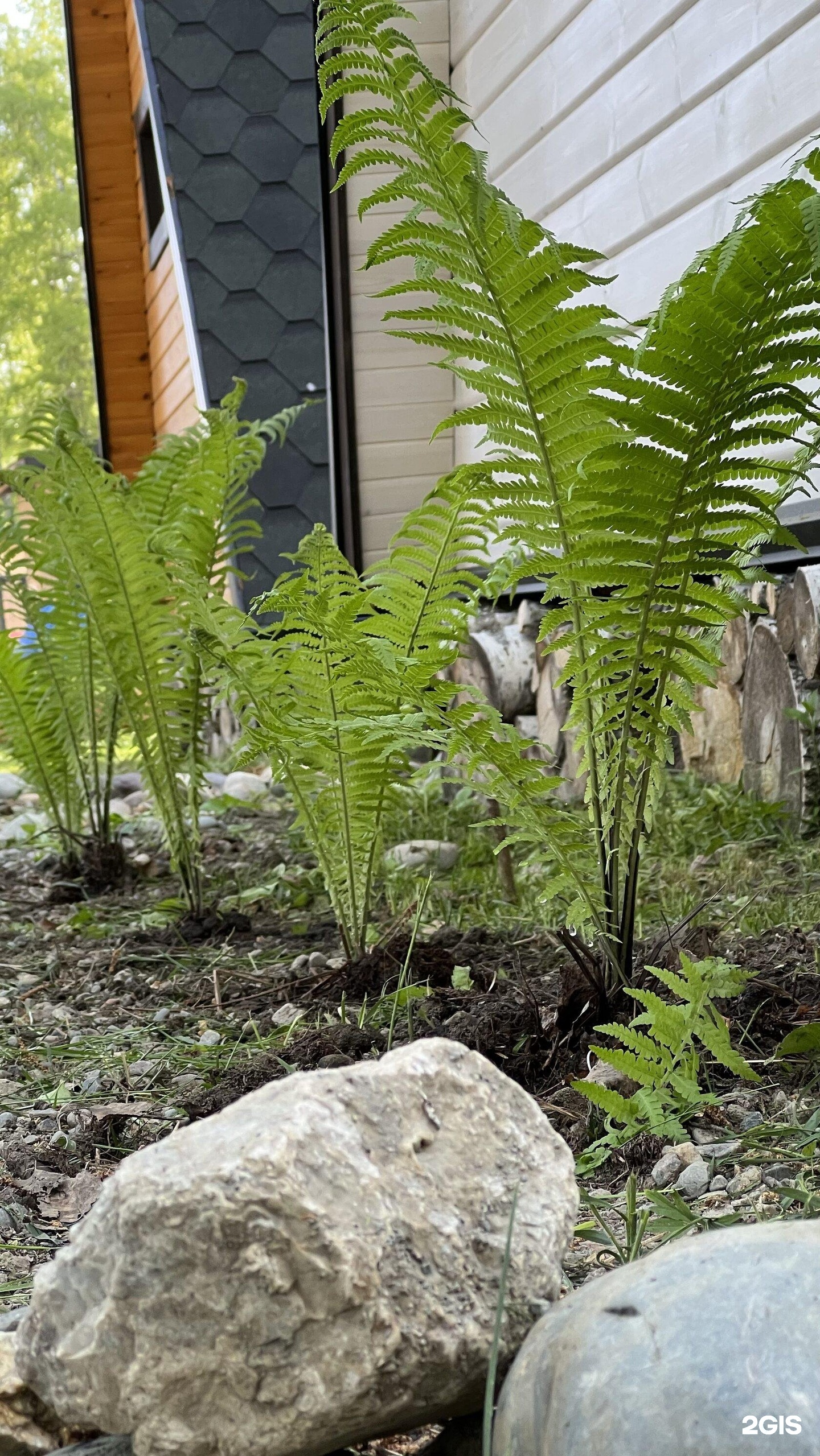 Golden Time - фото 27