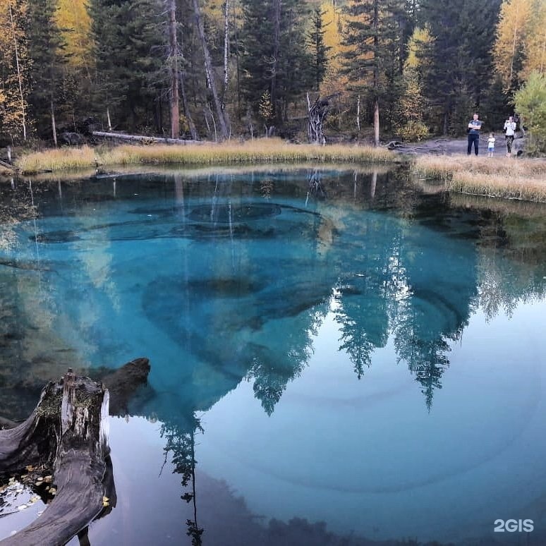 Баюта-Алтай - фото 21