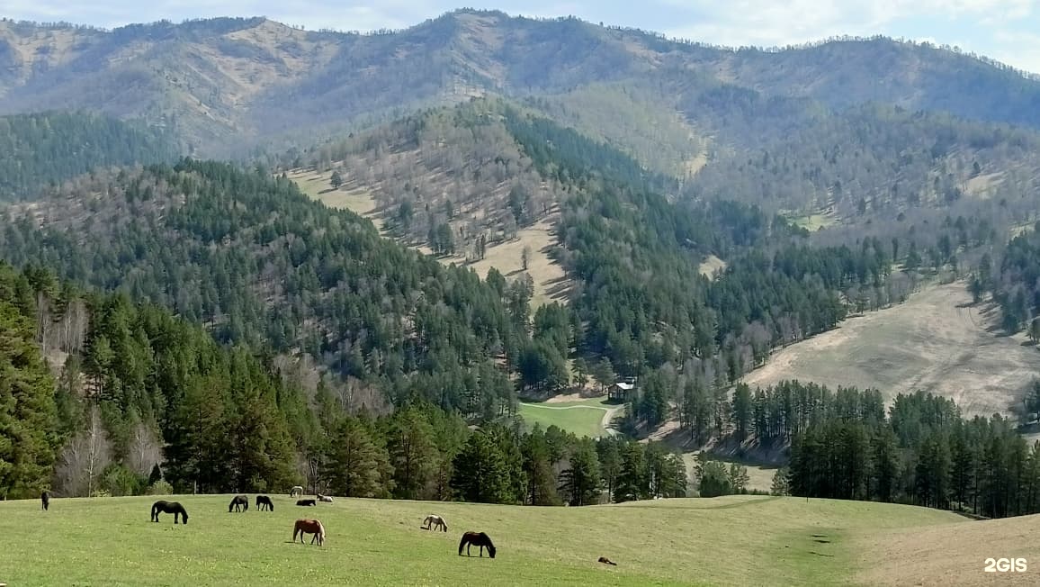 Баюта-Алтай - фото 58
