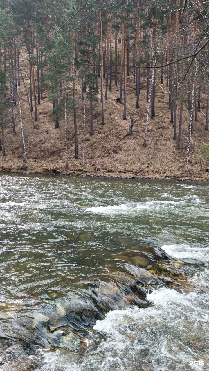 Баюта-Алтай - фото 77