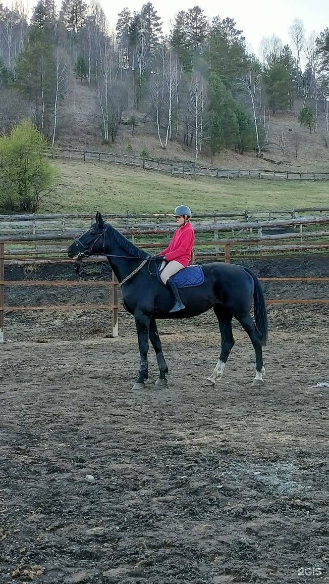 Баюта-Алтай - фото 99
