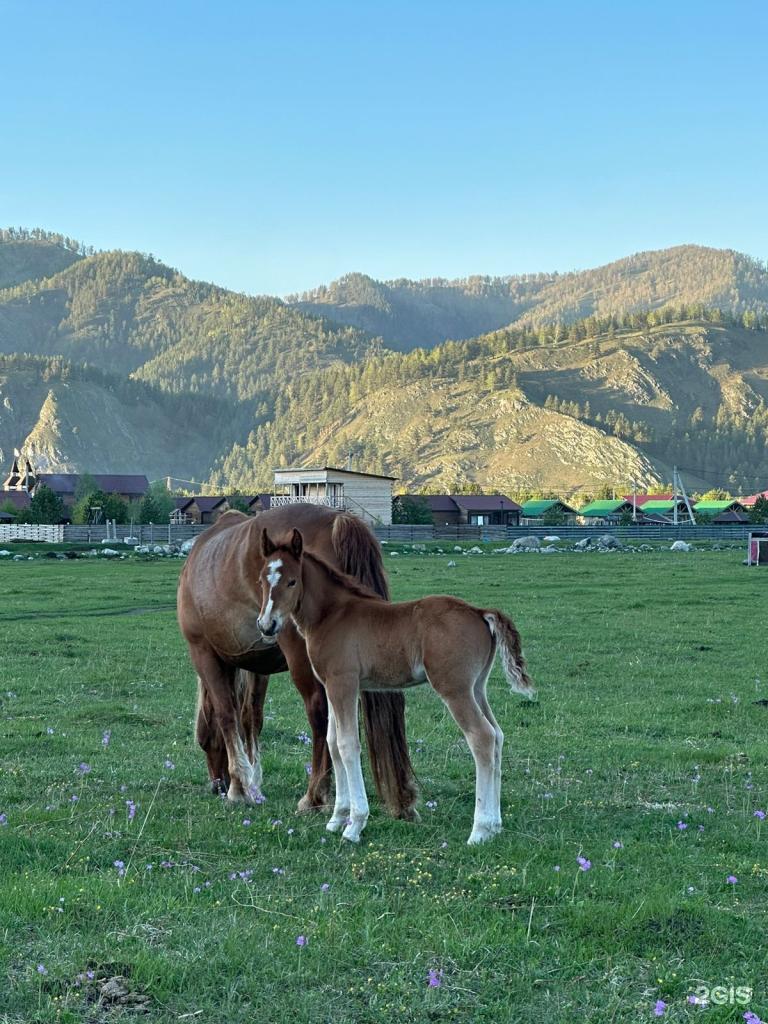 Dragon Village - фото 8