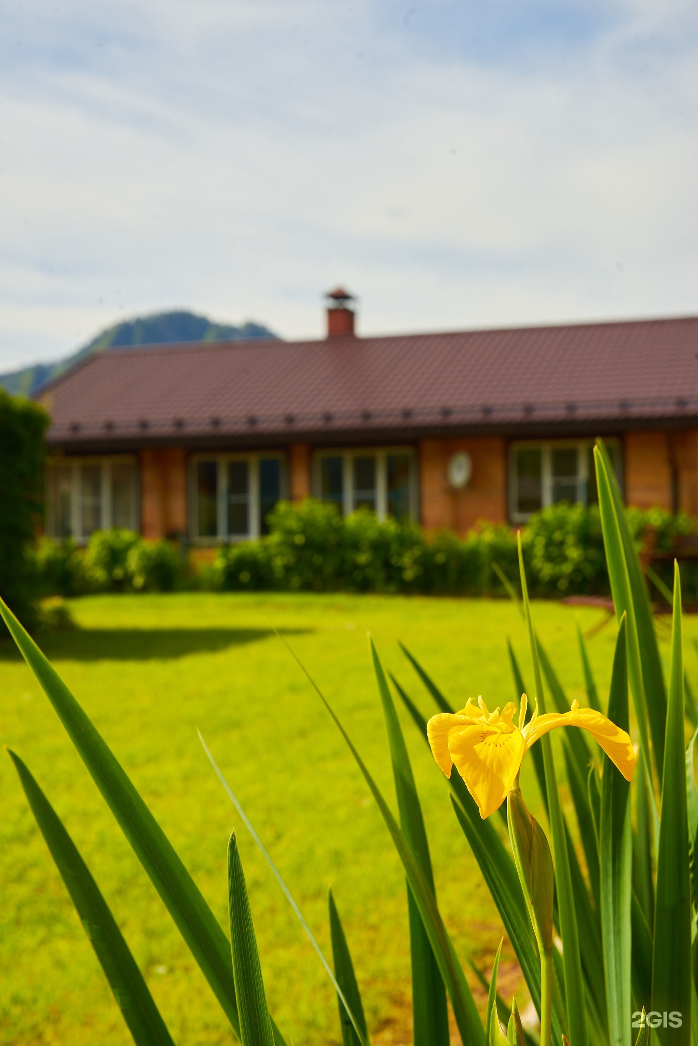 Литопур - фото 44