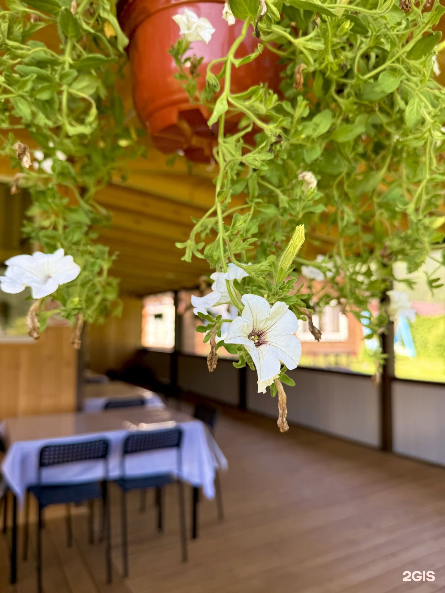 Литопур - фото 56