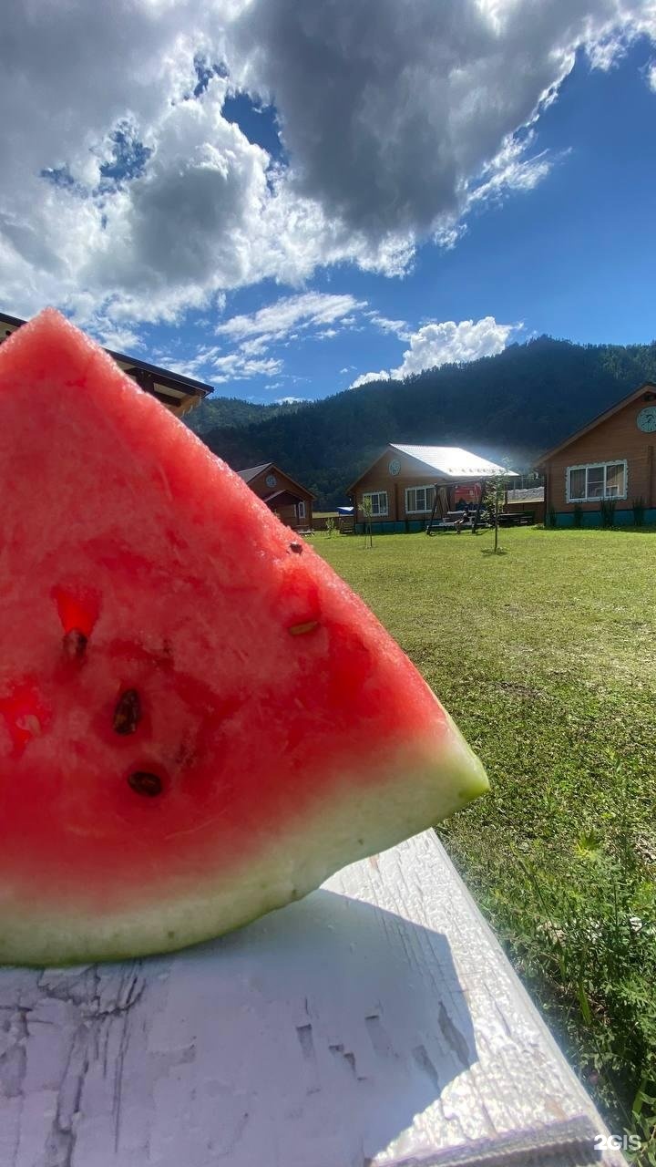 Литопур - фото 76