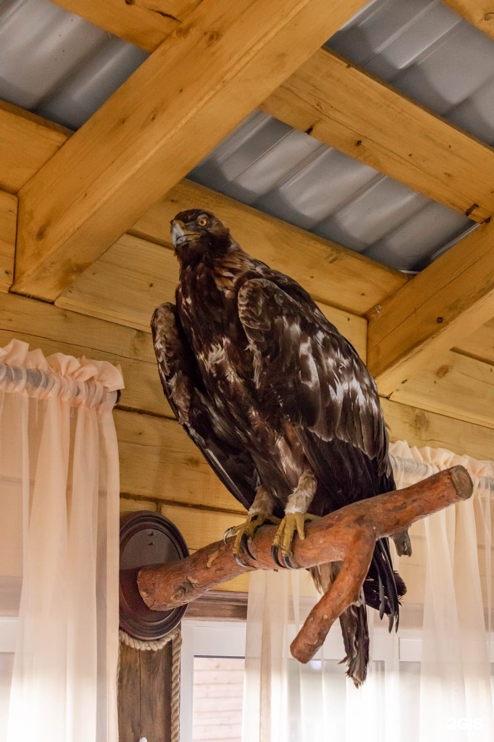 Литопур - фото 92