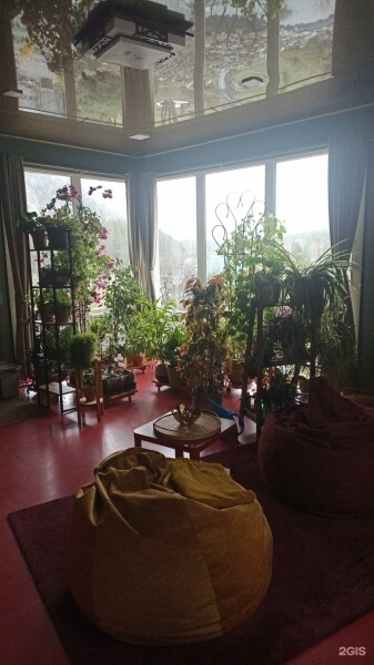 САКУРА - фото 1