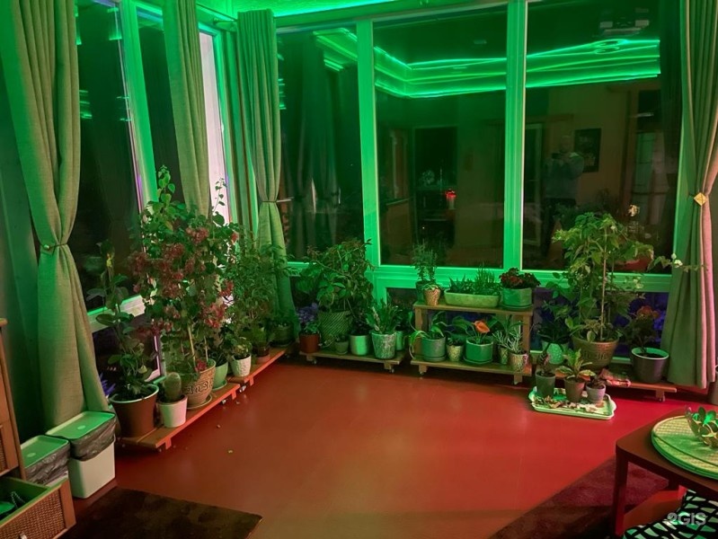 САКУРА - фото 3