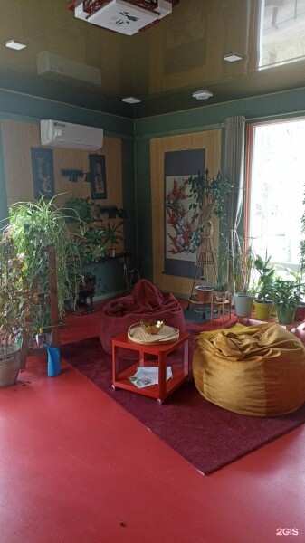 САКУРА - фото 4