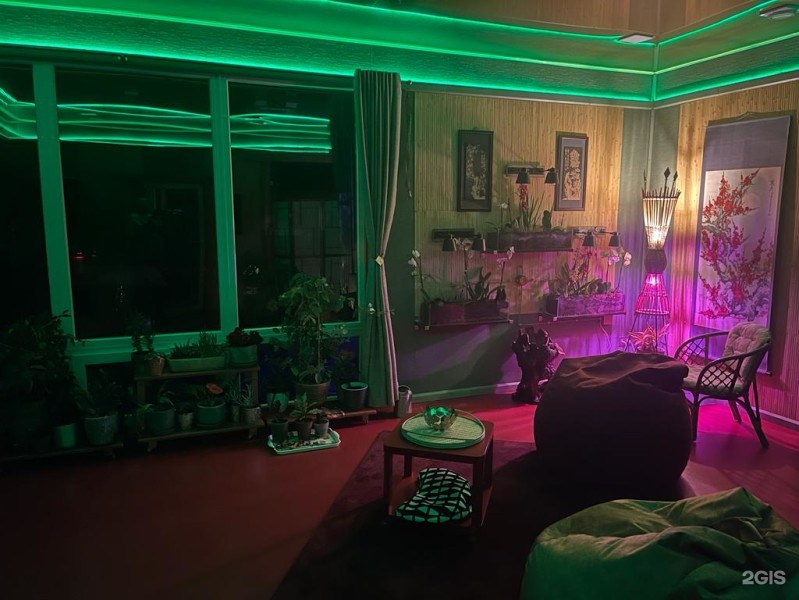 САКУРА - фото 5