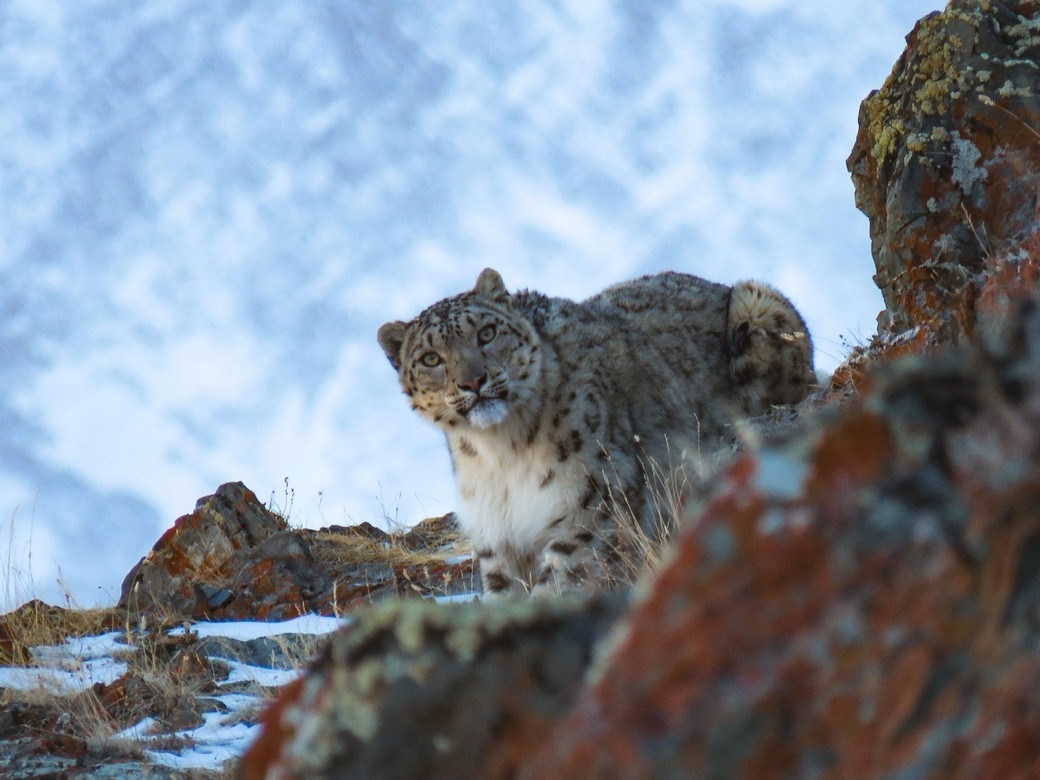 Сайлюгемский национальный парк - фото 2