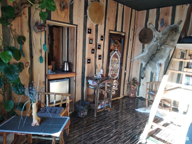 ШАМАНСКИЙ - фото 1