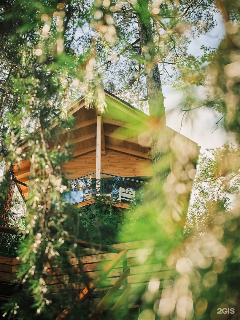 СТУДИЯ - фото 2