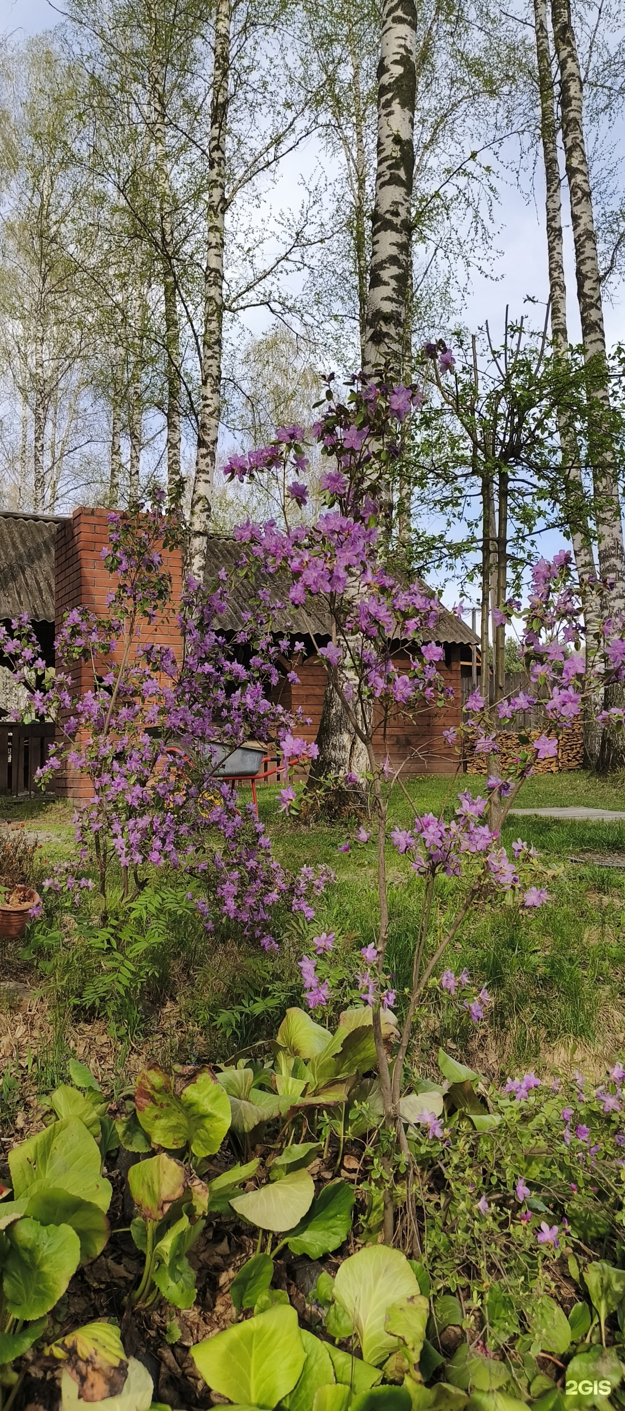 Митькина заимка - фото 27