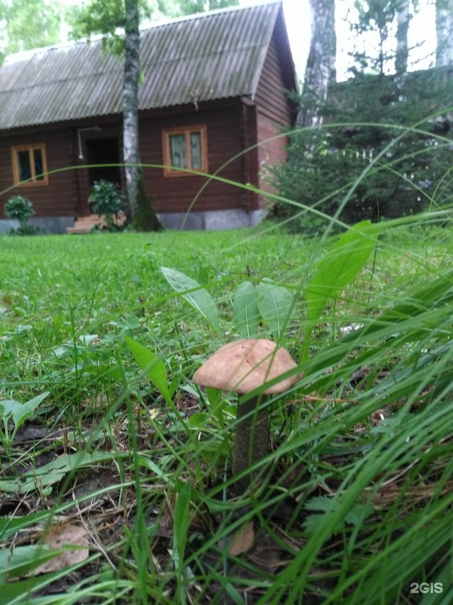 Митькина заимка - фото 40