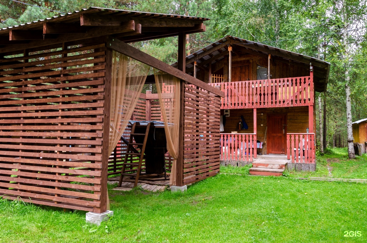 Берег лебеди - фото 1