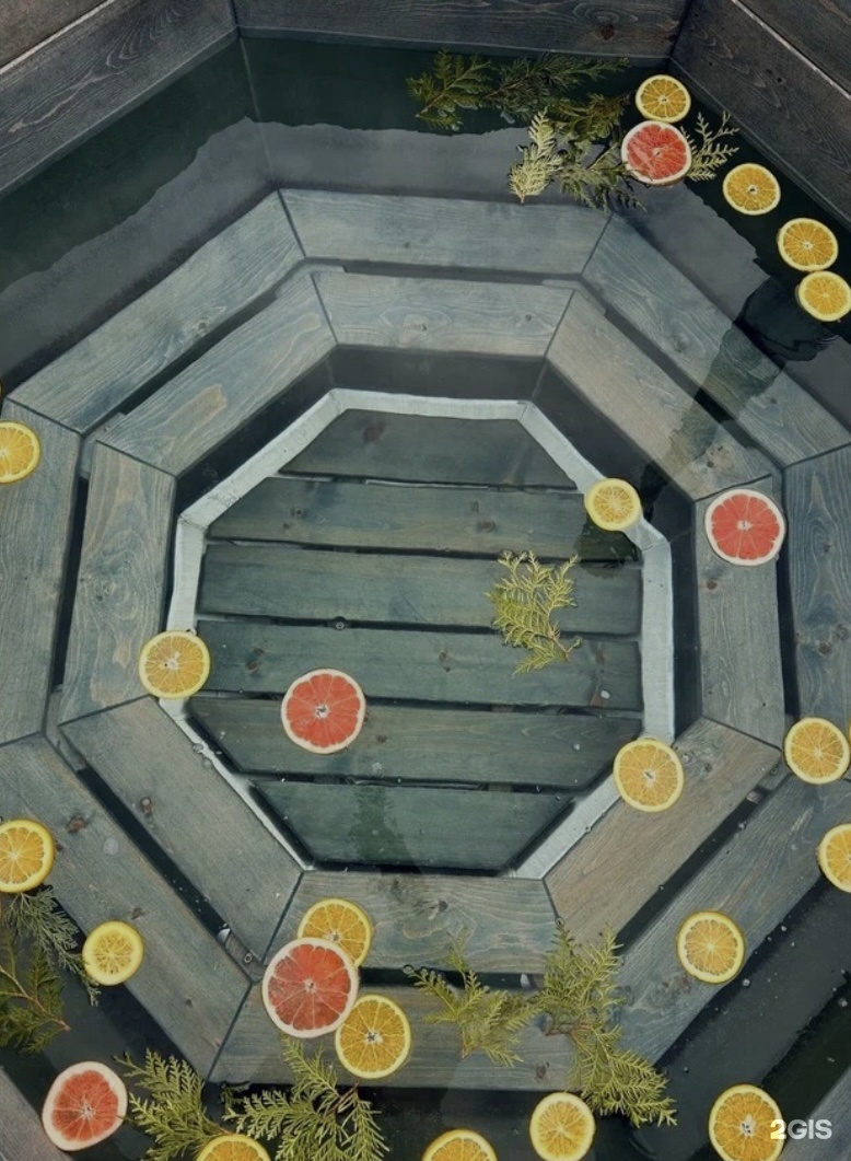 Берег лебеди - фото 3