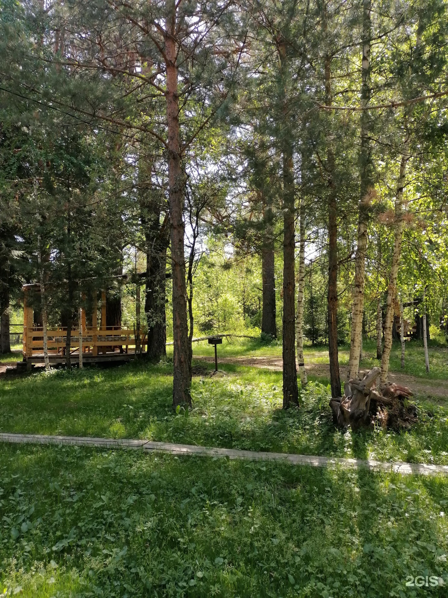 Берег лебеди - фото 16