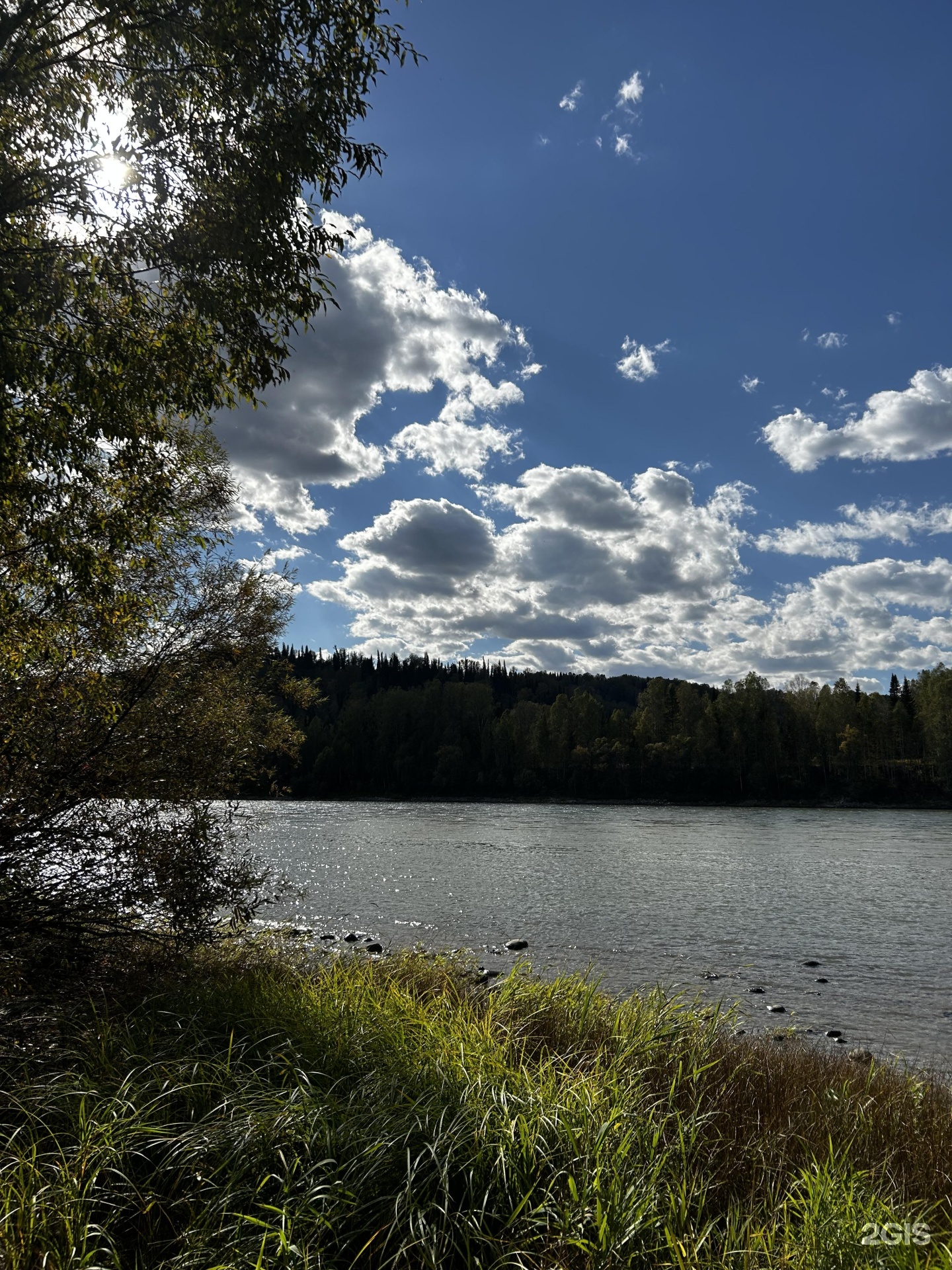 Берег лебеди - фото 19