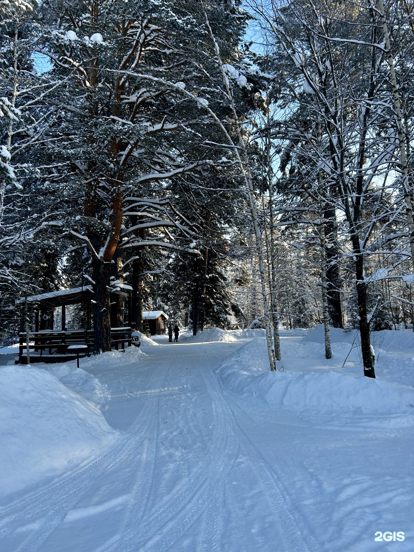 Берег лебеди - фото 22