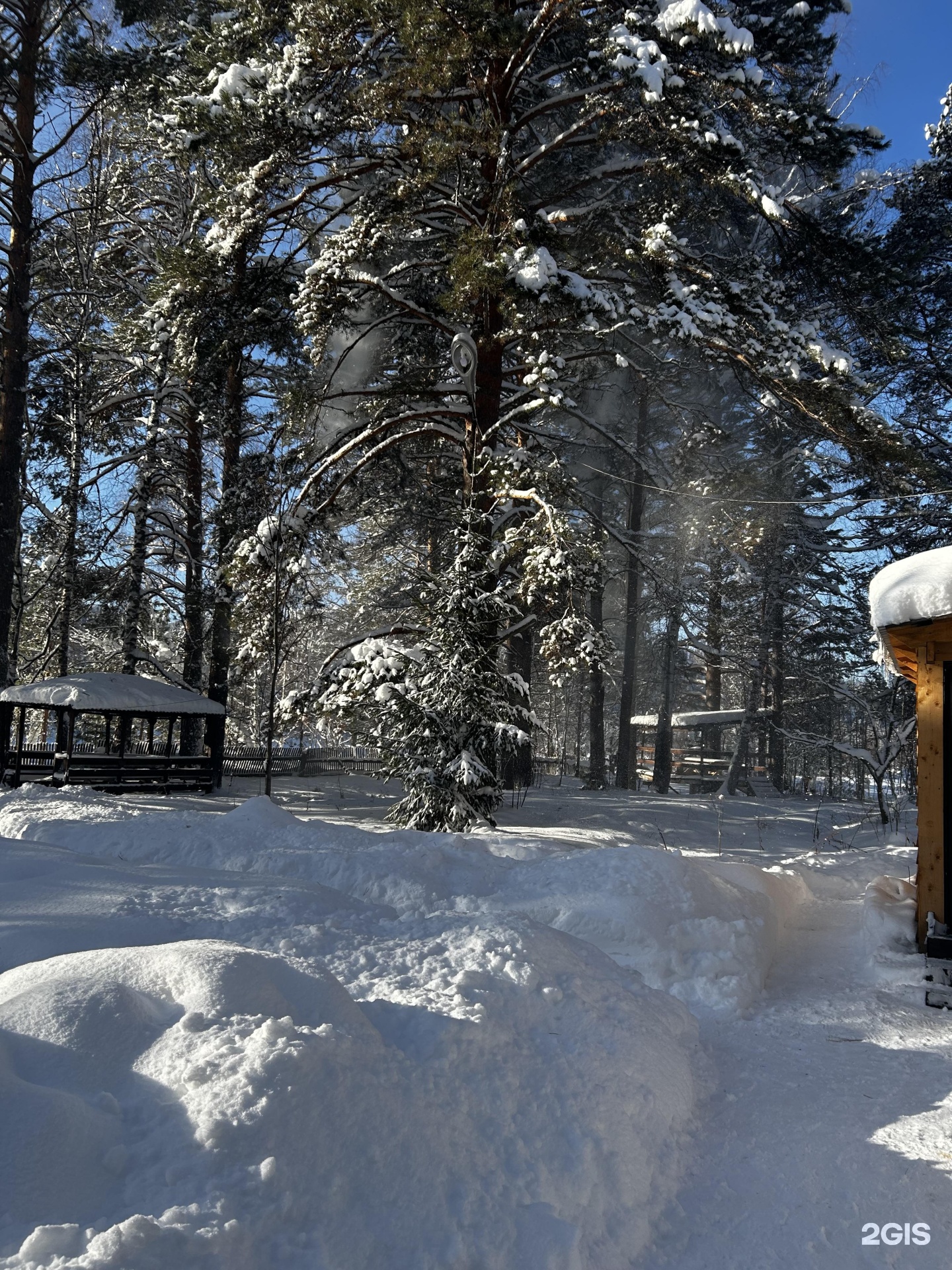 Берег лебеди - фото 24