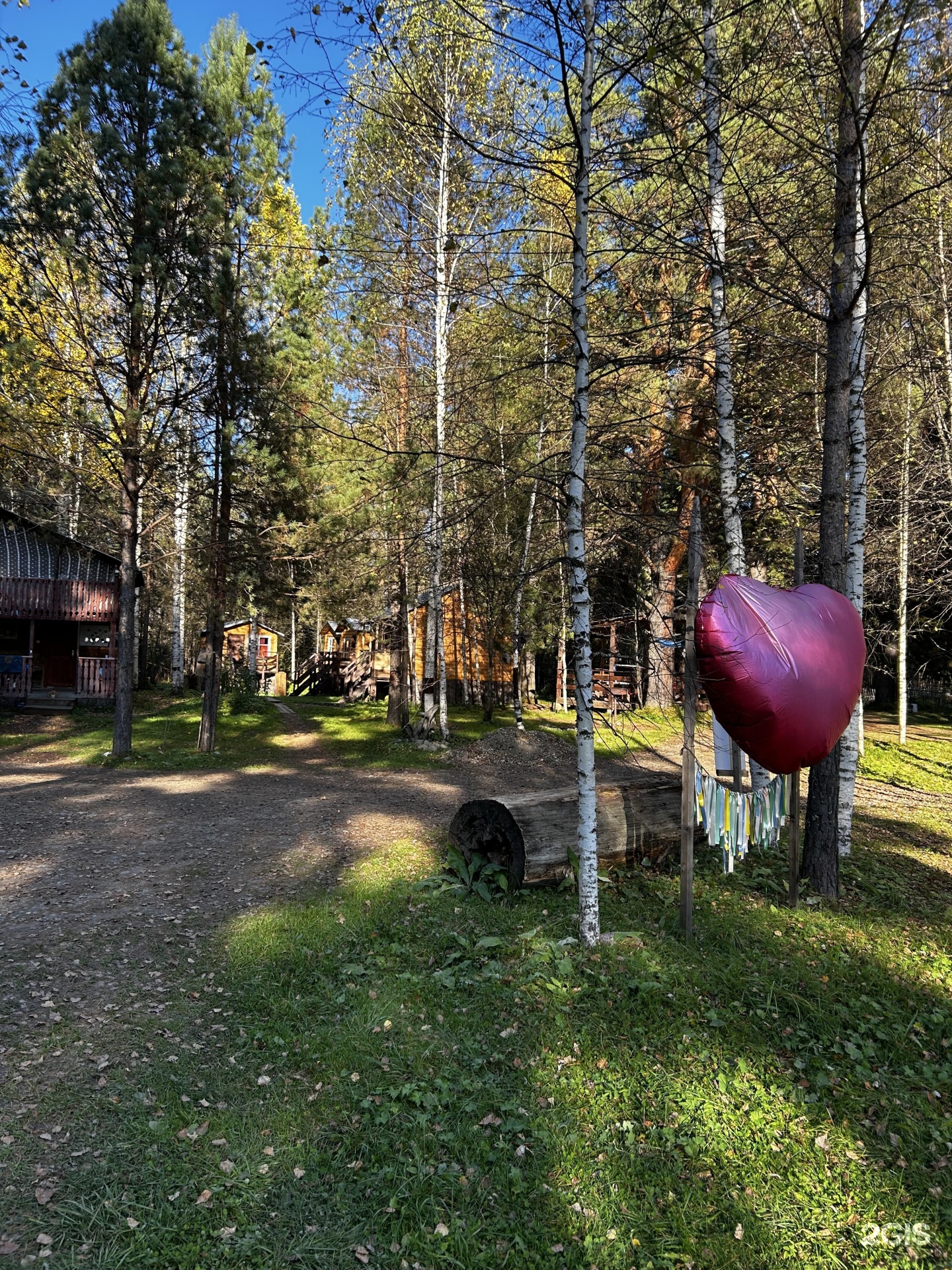 Берег лебеди - фото 26