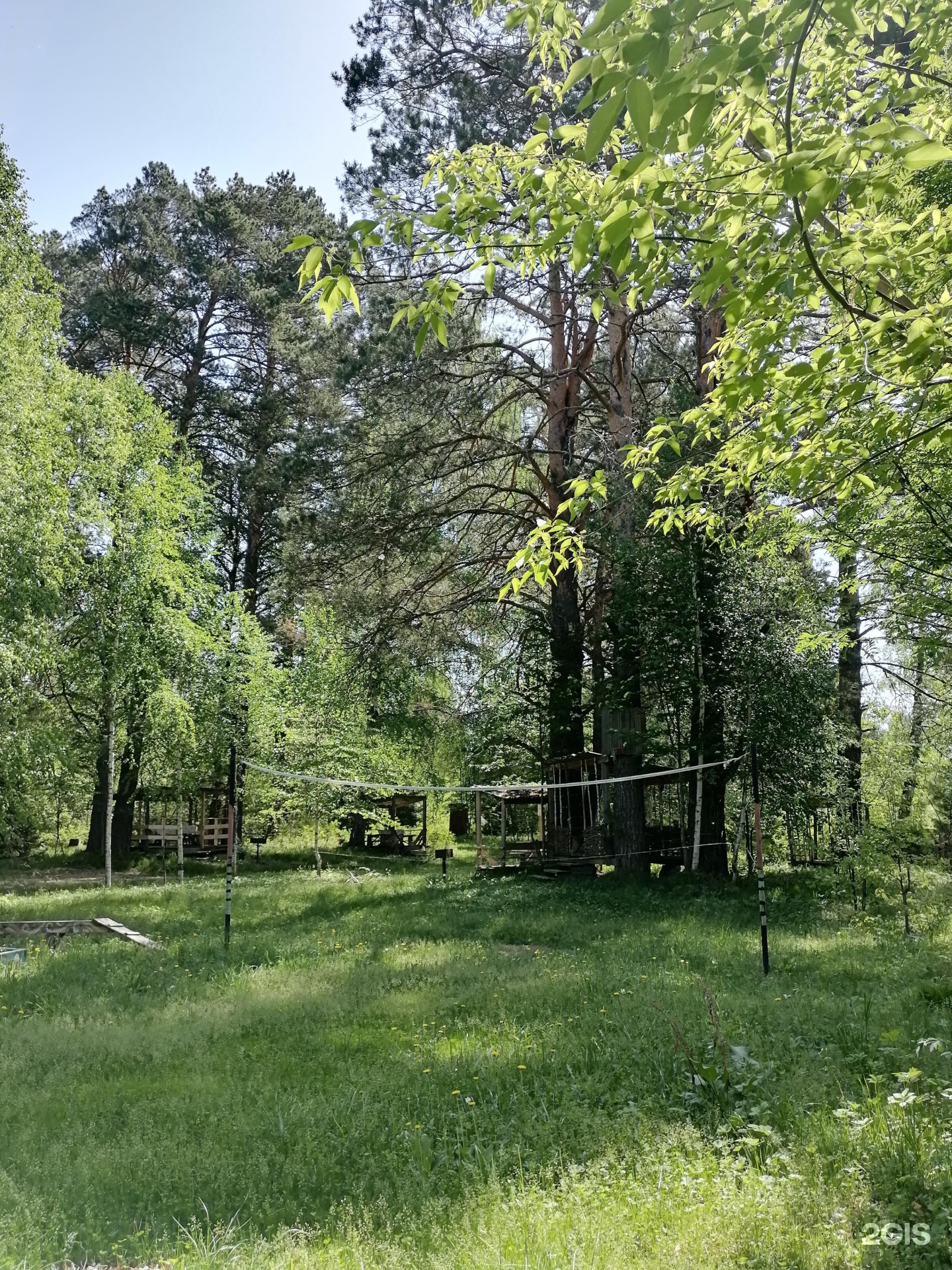 Берег лебеди - фото 27