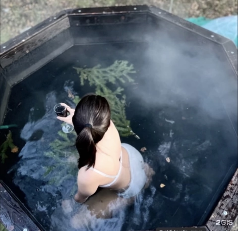 Берег лебеди - фото 30