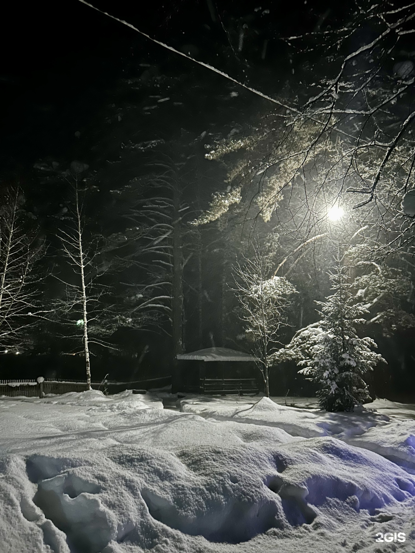 Берег лебеди - фото 31