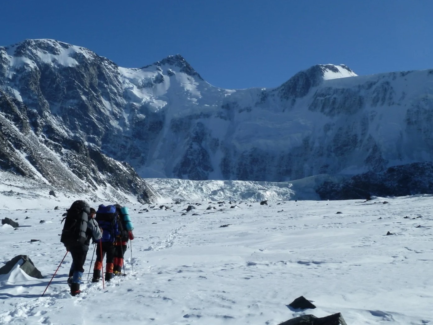 ООО "БЕЛУХА" - фото 1