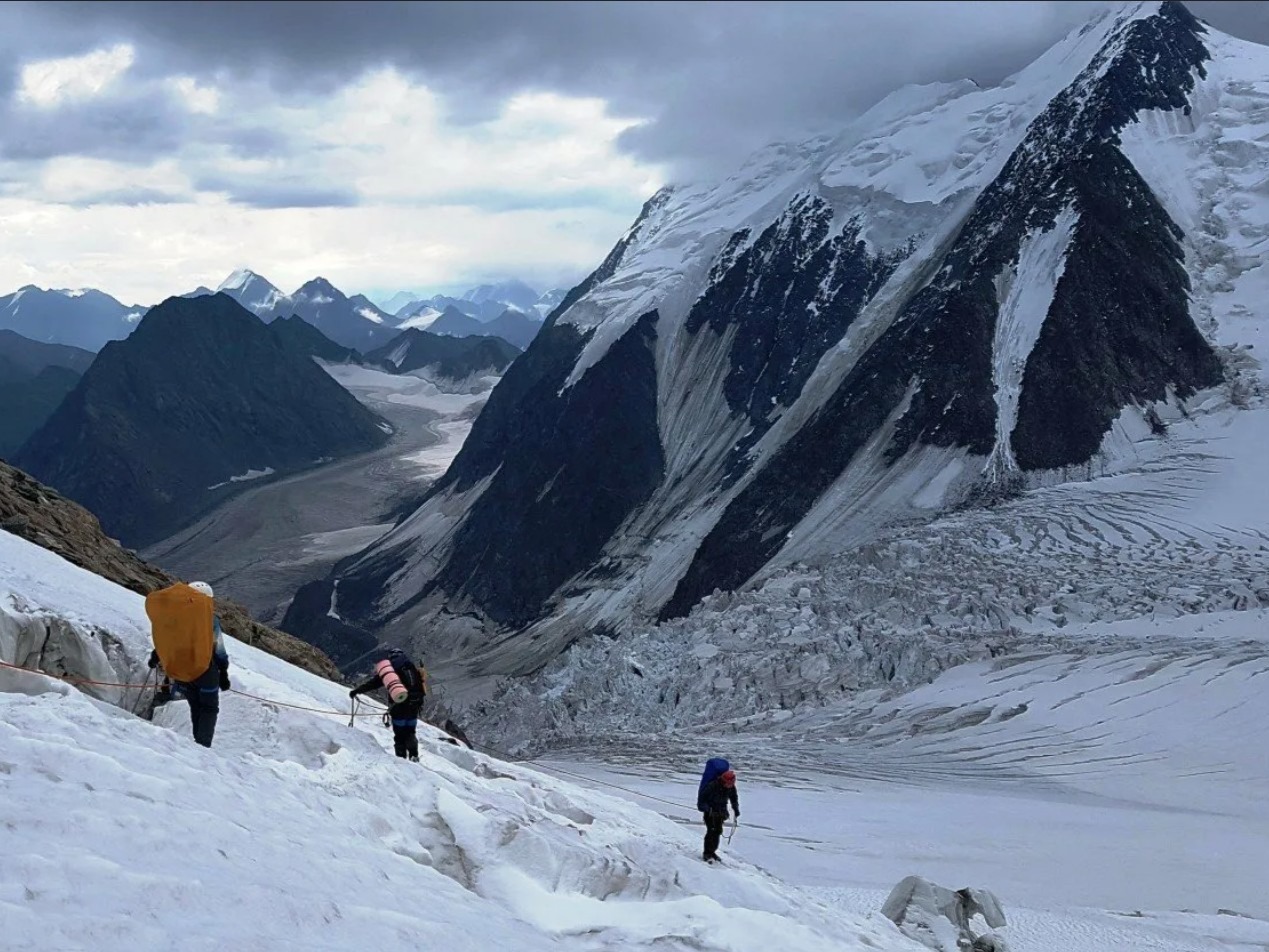 ООО "БЕЛУХА" - фото 5