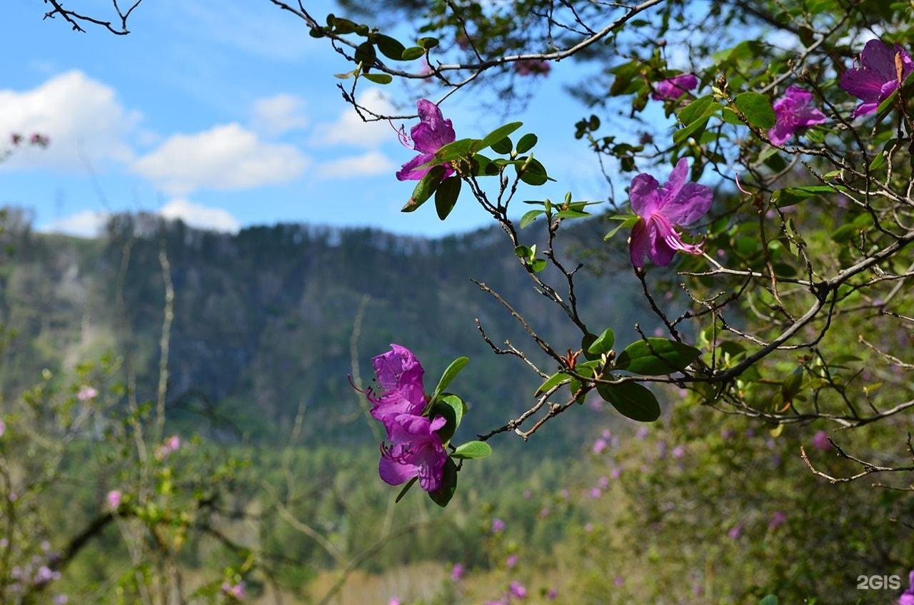 Путь к себе - фото 28